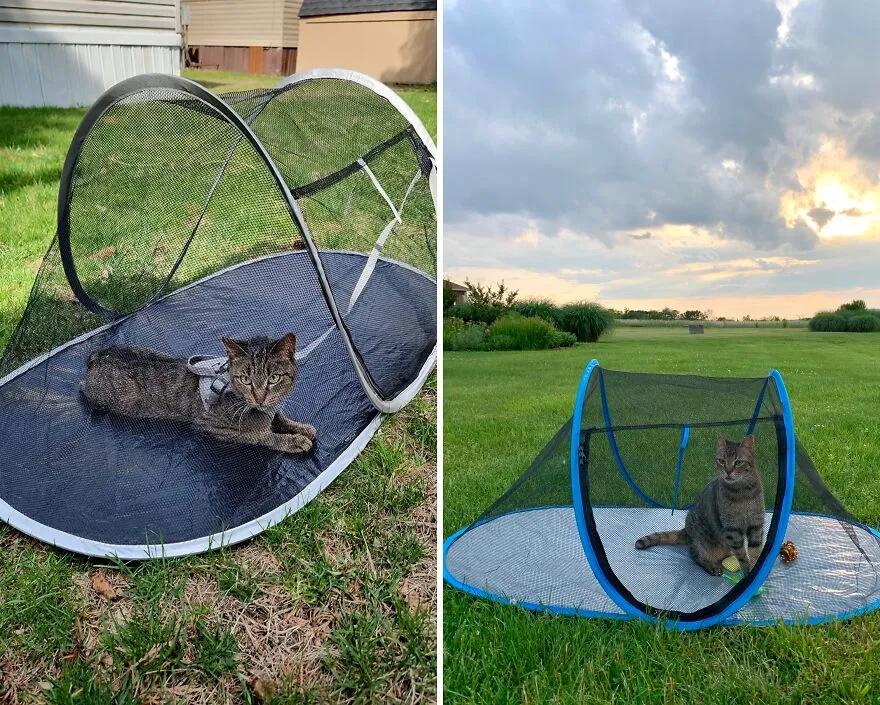 Furry Pal, Fun Outdoors: <span Style="Font:inherit;color:#d74b1f;"> Pop Up Cat Tent</Span> For Unleashed Adventures!