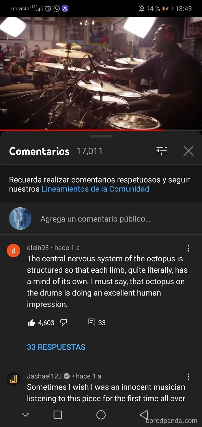 About Snarky Puppy's Drummer
