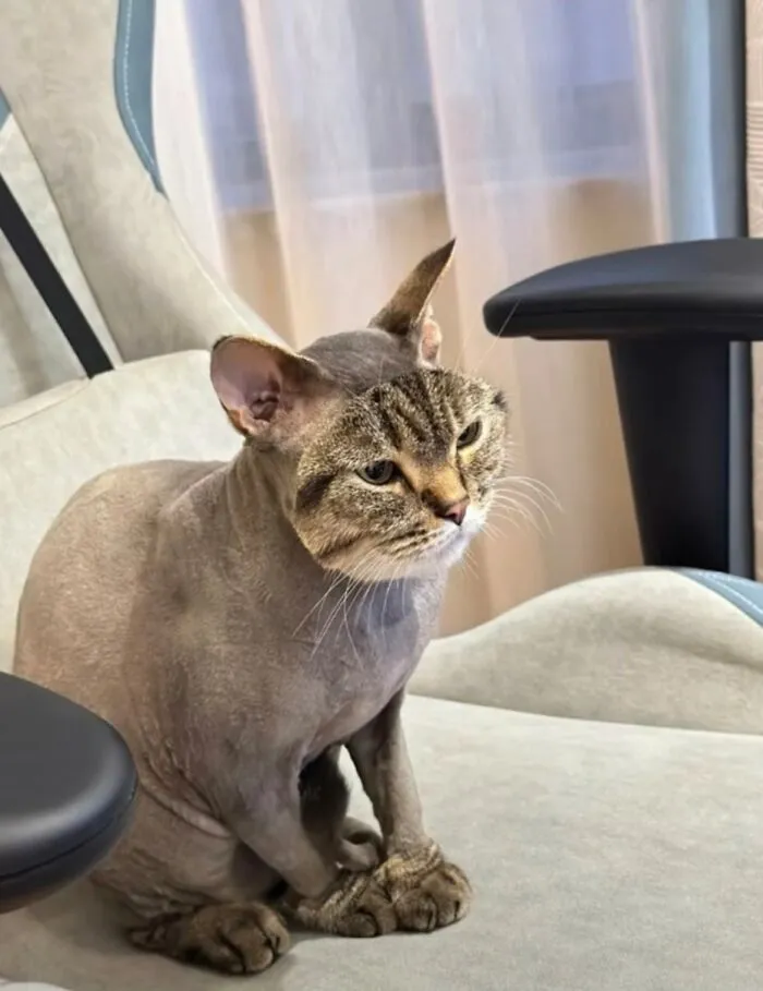 Hmmm