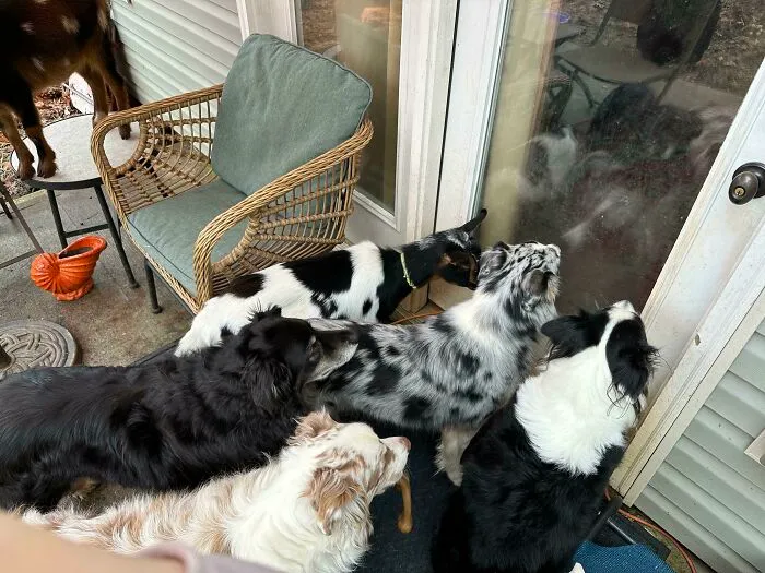 One Day…. One Day He’s Hoping I Won’t Notice…