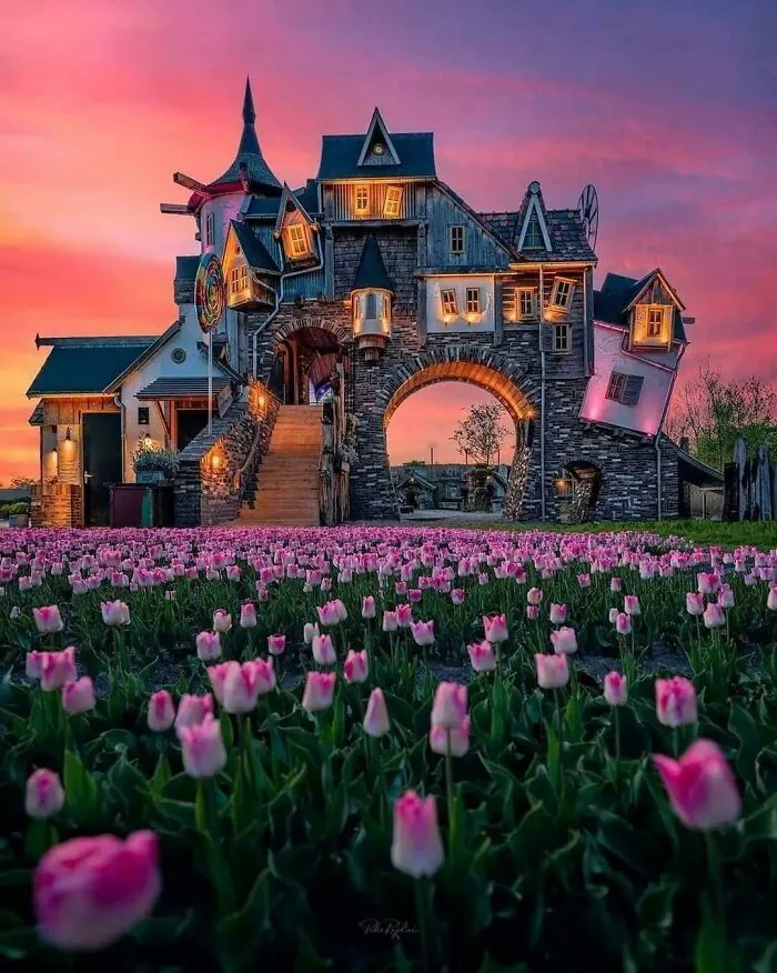 Netherlands Beauty