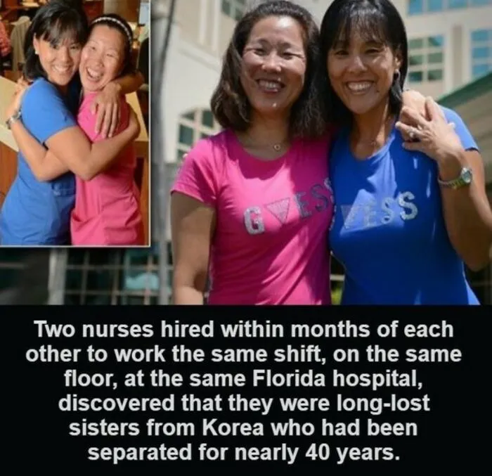 Unexpected Reunion