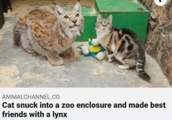 Blessed Friendship