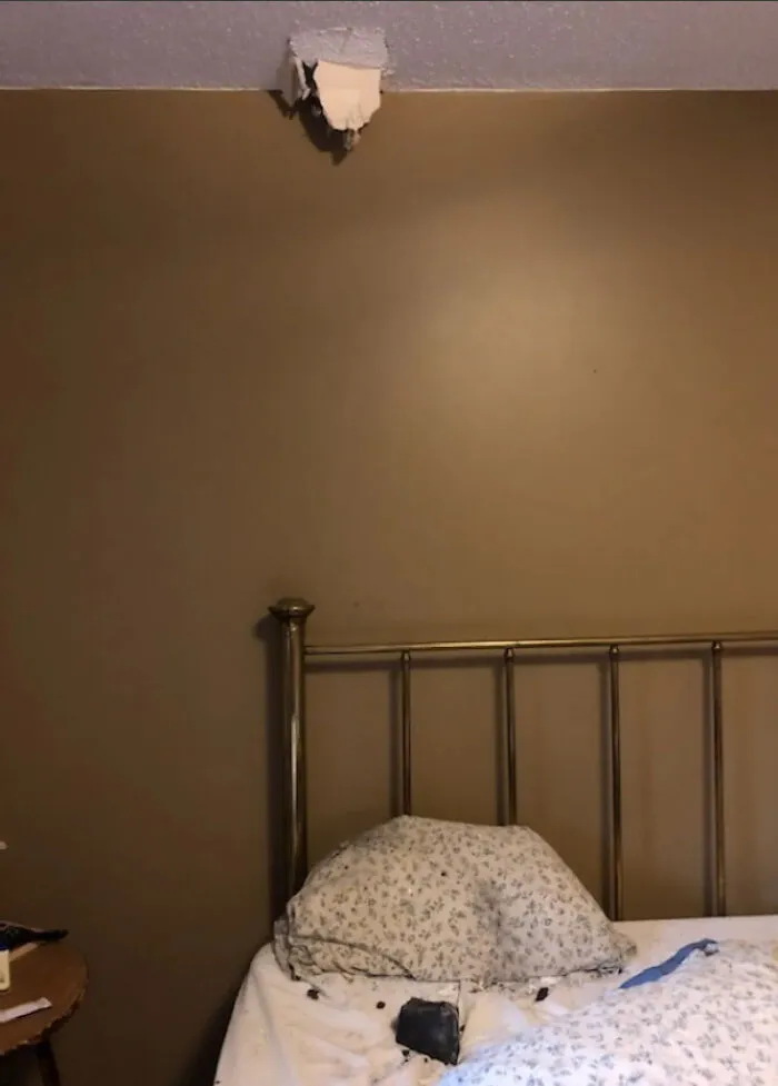 Meteor Crashed Through This Woman's Roof And Landed Right Next To Her While Sleeping