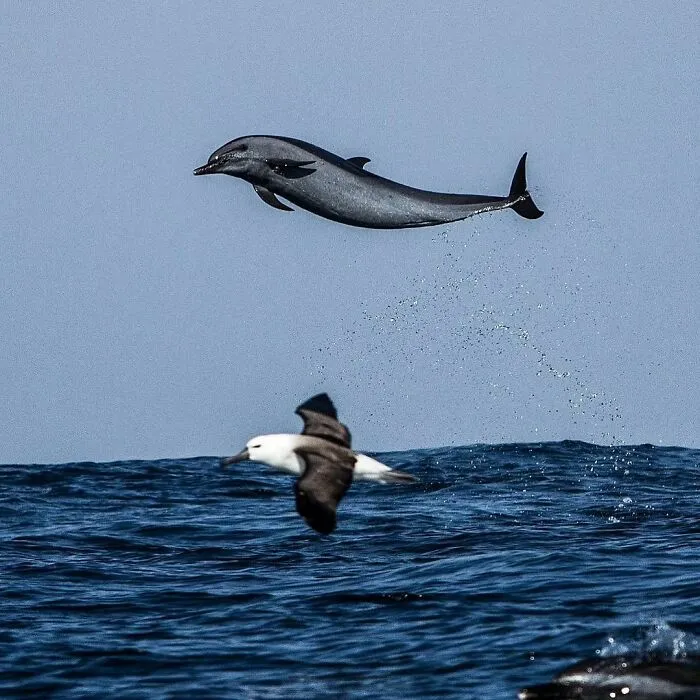 So Long And Thanks For All The Fish!