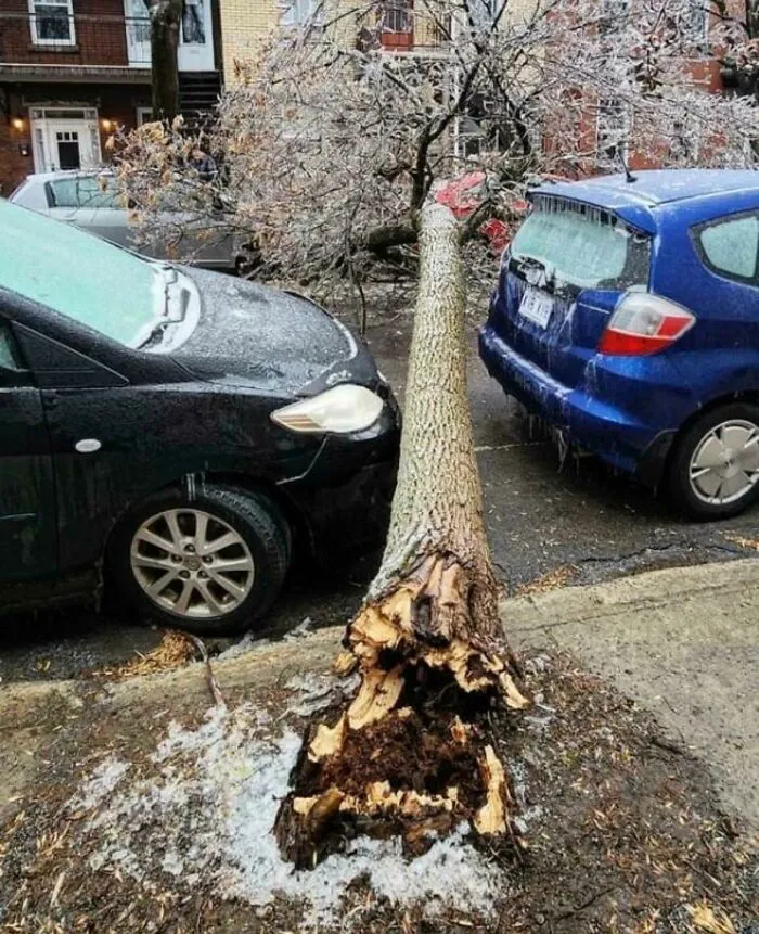 Montreal Ice Storm 2023