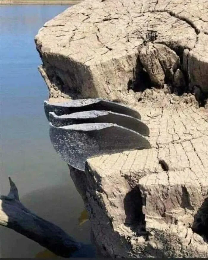 Low Lake Levels Reveal All Three Blades Of A Boat Propeller Getting Imbedded Into A Tree Stump