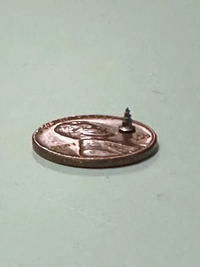 I Had Brain Surgery In January Of ’23 And One Of The Screws Used Worked Its Way Through My Skin And Eventually Came Out