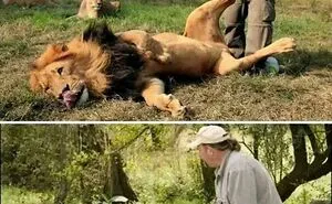50 Hard-To-Believe Images And Facts That Are Outright Amazing (New Pics)