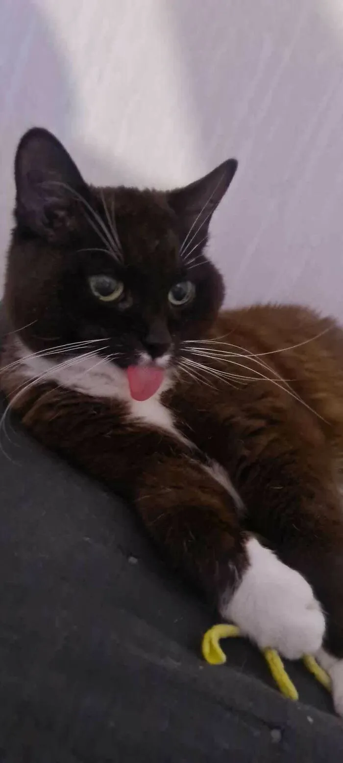My Pretty Girl Just Turned 16