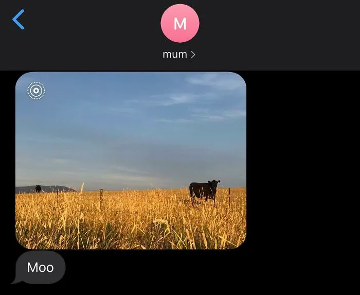 Thanks For The Information, Mom