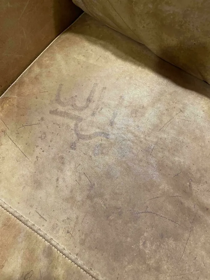 I Cleaned My Leather Couch And The Cattle Brand Showed Through