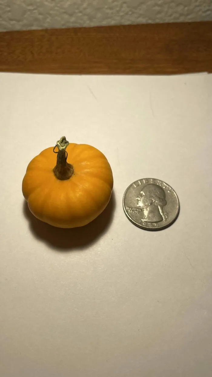 Jack Really Do Be Little