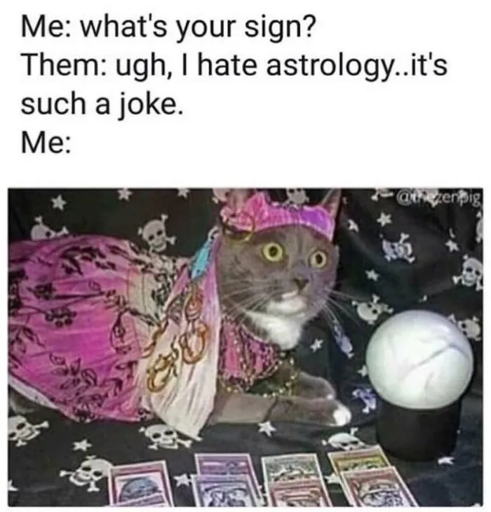 50 Hilarious Astrology Memes With A Little Something For Every Zodiac Sign