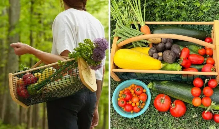 Garden Glory: <span Style="Font:inherit;color:#d74b1f;"> Gardener's Harvest Basket</Span> - Sow, Reap, And Personalize!