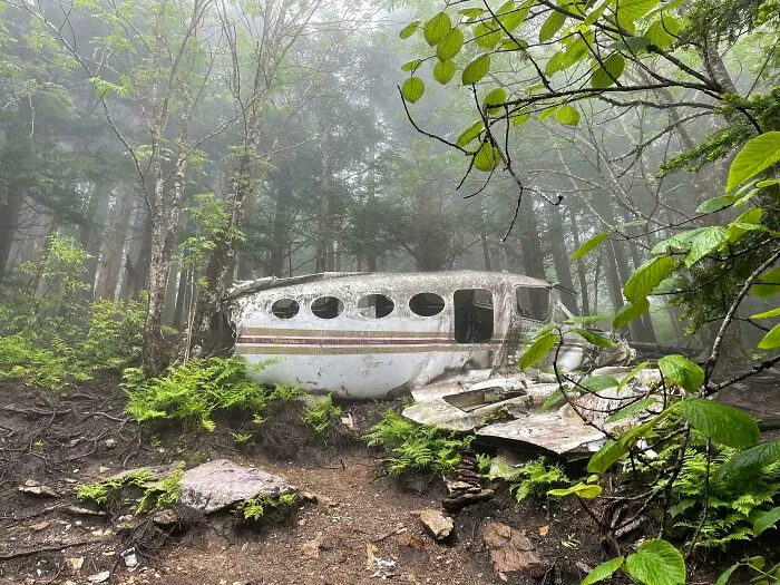 Una avioneta estrellada