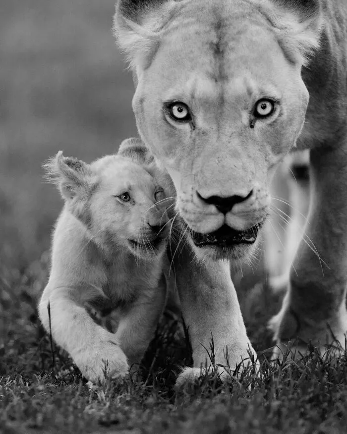 My Favorite Black-And-White Photos I’ve Taken In The Last 18 Years (23 Pics)