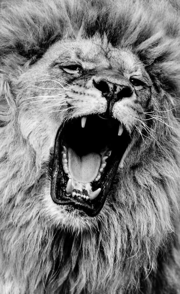 My Favorite Black-And-White Photos I’ve Taken In The Last 18 Years (23 Pics)