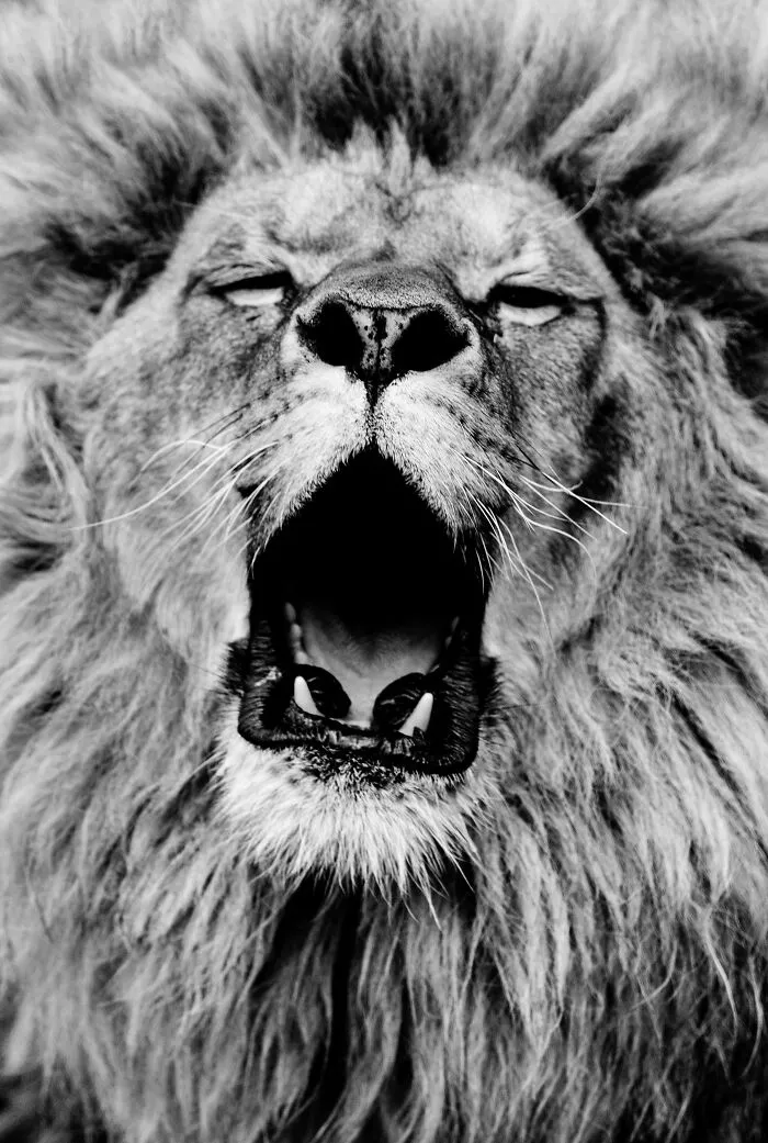 My Favorite Black-And-White Photos I’ve Taken In The Last 18 Years (23 Pics)