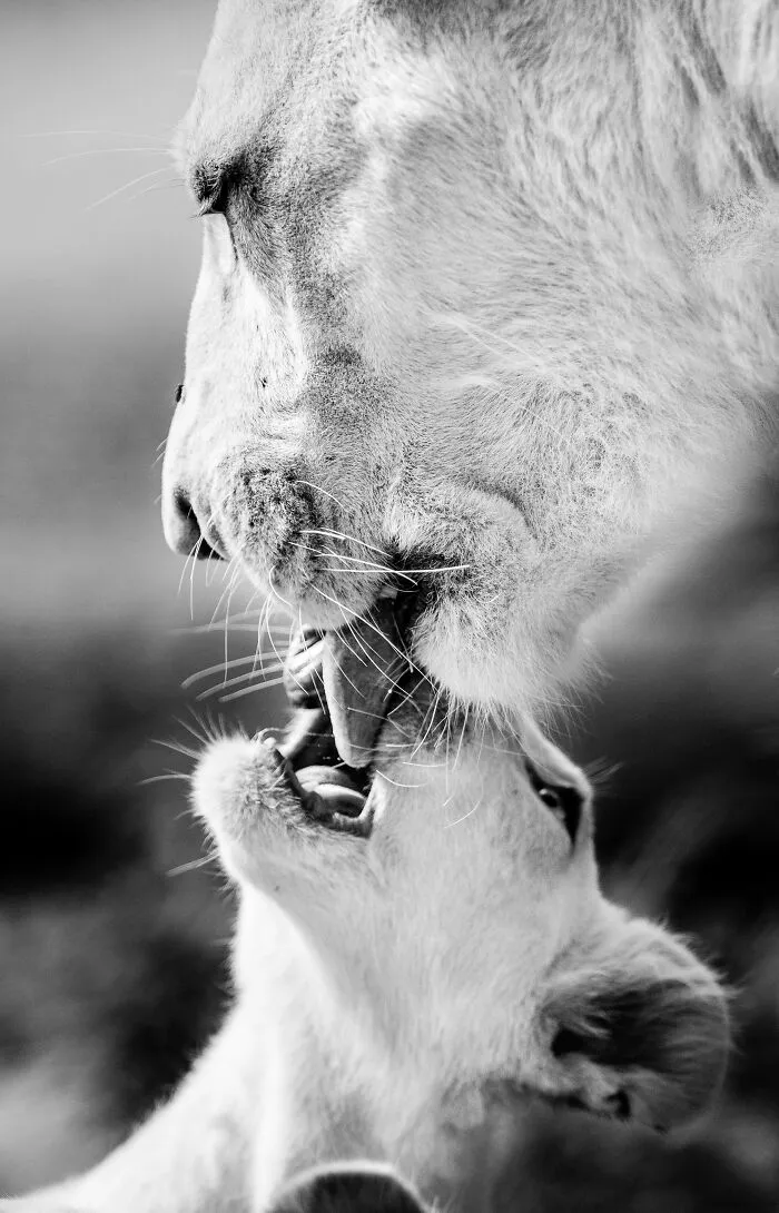 My Favorite Black-And-White Photos I’ve Taken In The Last 18 Years (23 Pics)