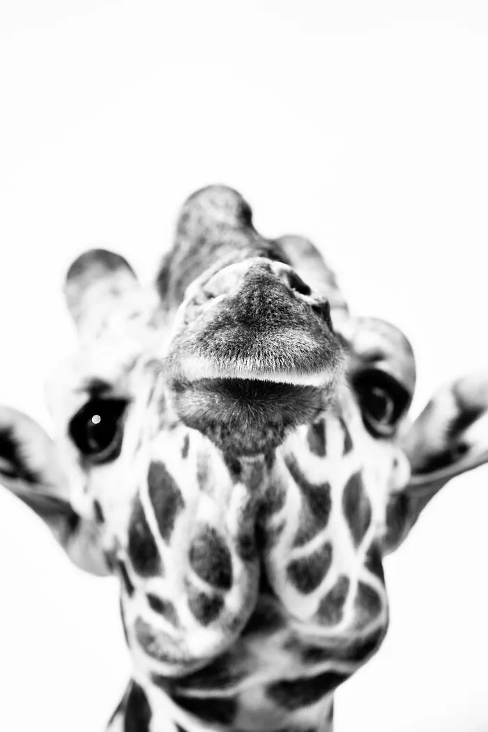 My Favorite Black-And-White Photos I’ve Taken In The Last 18 Years (23 Pics)