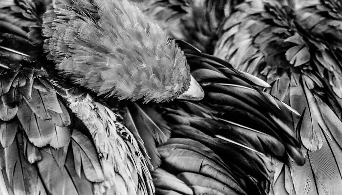 My Favorite Black-And-White Photos I’ve Taken In The Last 18 Years (23 Pics)