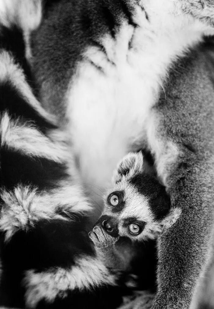 My Favorite Black-And-White Photos I’ve Taken In The Last 18 Years (23 Pics)