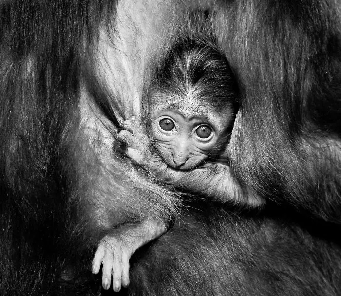 My Favorite Black-And-White Photos I’ve Taken In The Last 18 Years (23 Pics)