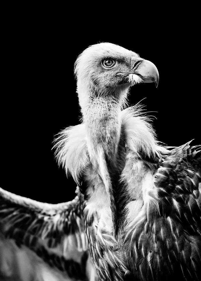 My Favorite Black-And-White Photos I’ve Taken In The Last 18 Years (23 Pics)