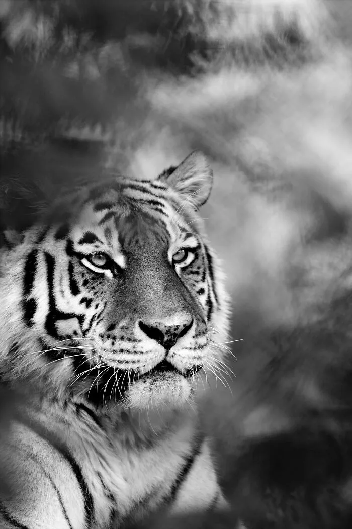 My Favorite Black-And-White Photos I’ve Taken In The Last 18 Years (23 Pics)
