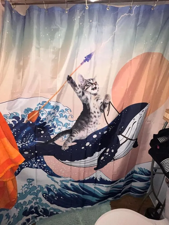 Fabulously Absurd Or Absurdly Fabulous? Find Out With The <span Style="Font:inherit;color:#d74b1f;"> Shark Cat Shower Curtain</Span>