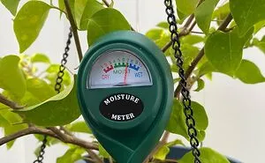 27 Must-Haves For Plant Parents Reaching For The Leafy Pinnacle