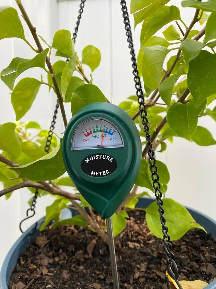Don't Guess, Test: <span Style="Font:inherit;color:#d74b1f;"> Soil Moisture Meter</Span> For Happy, Hydrated Plants!