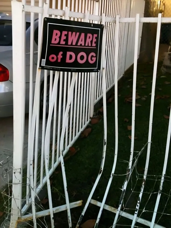 32 Carteles sorprendentemente divertidos que había que compartir