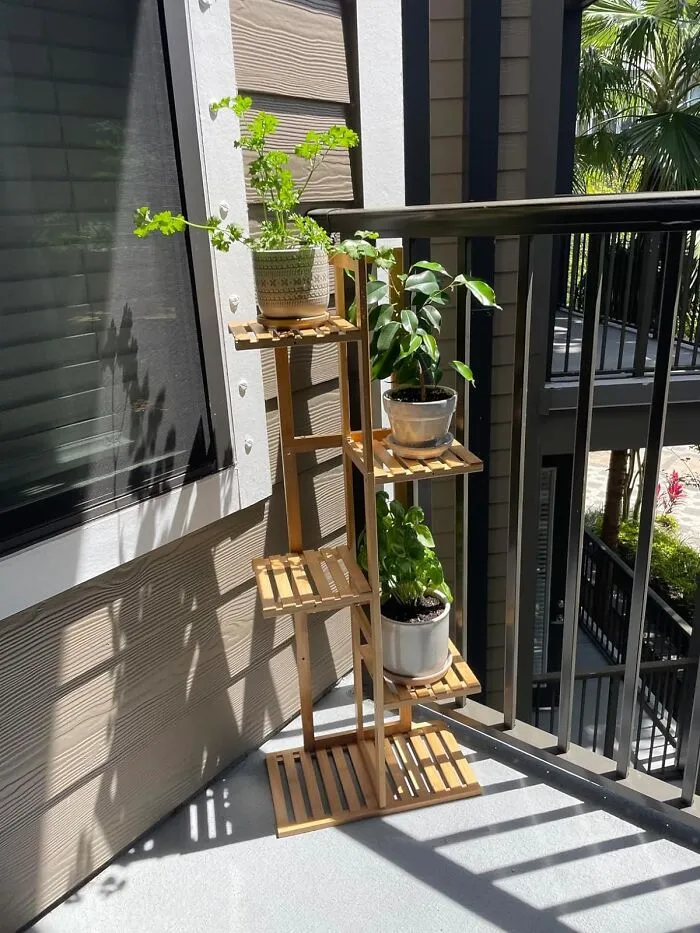 Eco Vibes Only: <span Style="Font:inherit;color:#d74b1f;"> Bamboo Plant Stand</Span> For That Lush Indoor Jungle