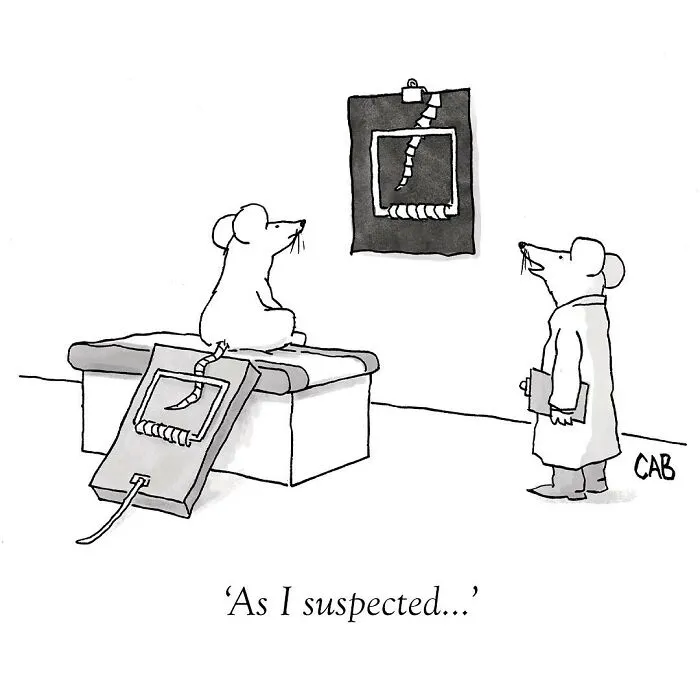 If You Like An Absurd Sense Of Humor, You Might Like These 30 Cartoons By Mat Barton