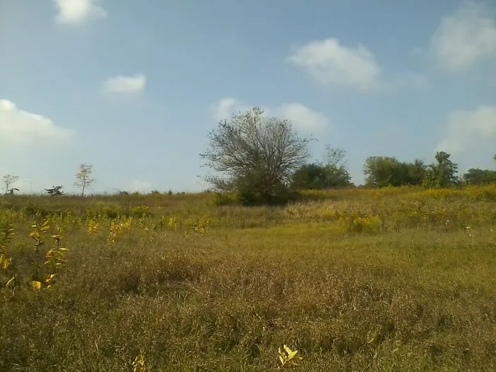 Illinois During Summer