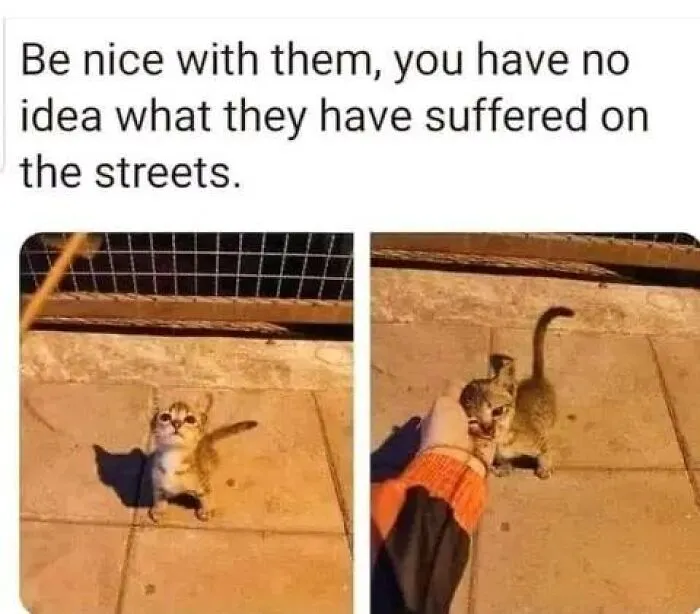 Better Yet, Bring Them Somewhere Safe