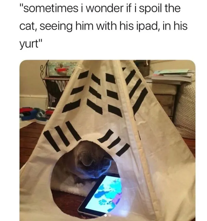 This Is Hilarious 😂 And Awesome