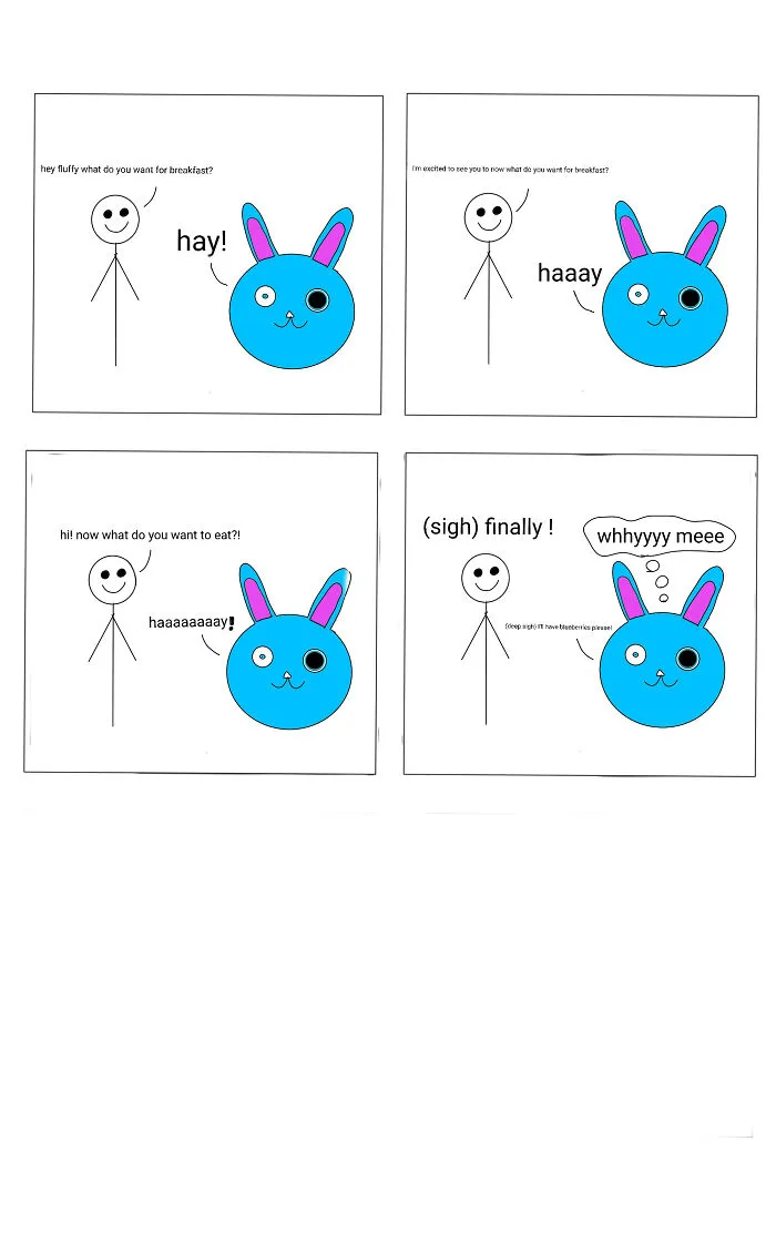 Haaay