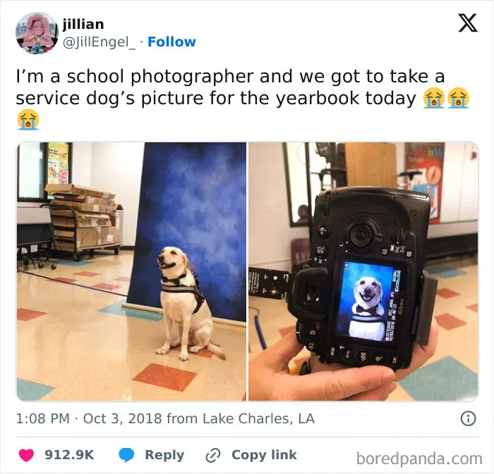 50 Hilariously Wholesome Dog Memes To Brighten Up Your Day