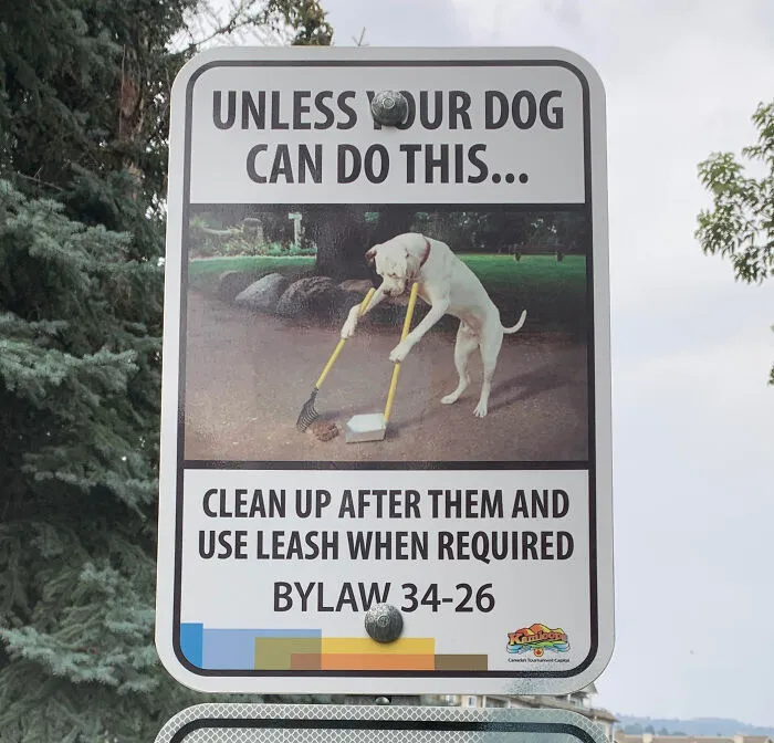 32 Carteles sorprendentemente divertidos que había que compartir
