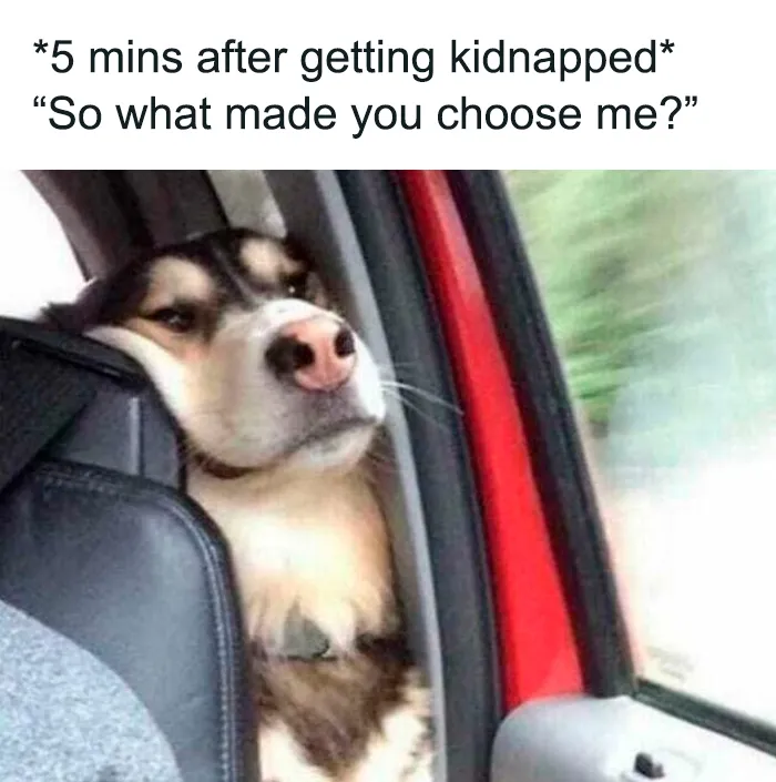 50 Relatable Memes About Mental Health That Even Your Therapist Might Find Funny