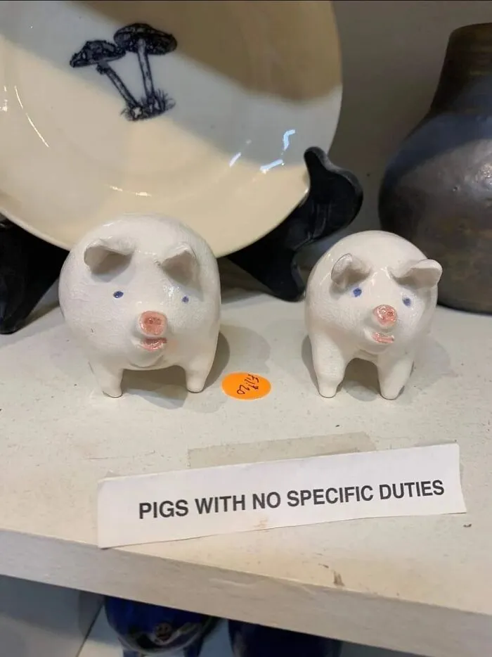 Two ceramic pig figurines labeled "pigs with no specific duties" for mental health meme humor.