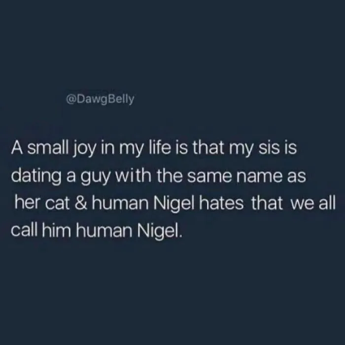 I Call The Flies That Die On My Floor Nigel. He Should Be Very Happy