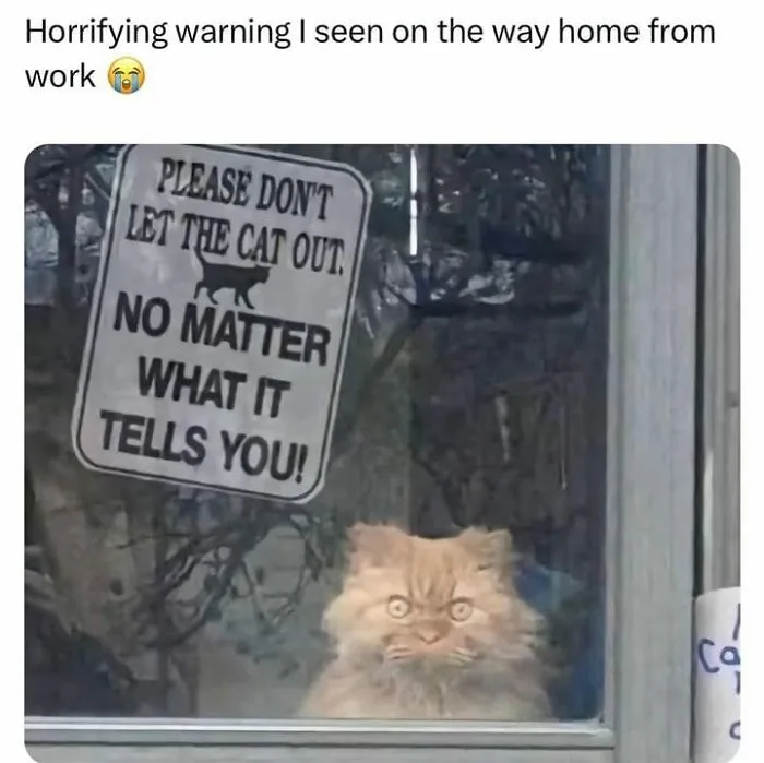 That’s An Ewok