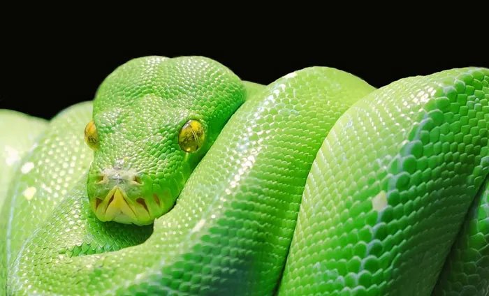 “If Lost, Please Mail To The FBI”: 30 Bizarre Things That Have Been Found In Hotel Rooms