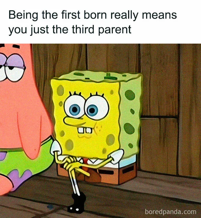 50 Random Memes To Entertain You While You Procrastinate