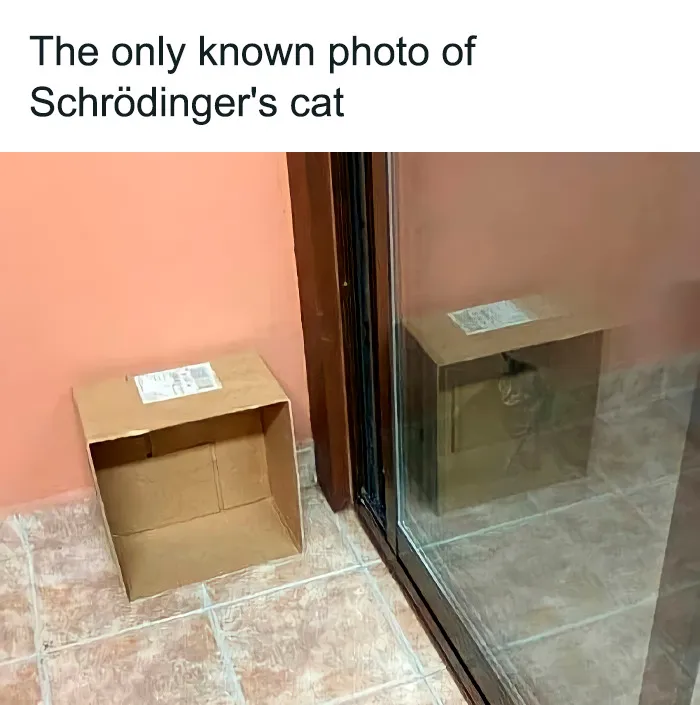 ‘Science Is Fun’: 50 Funny And Smart Memes For Science Lovers Everywhere