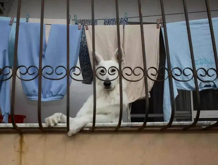 Amusing Urban Life: 30 Pictures Shared On This Instagram Account (New Pics)